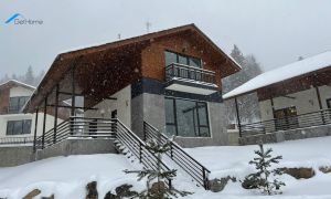ქირავდება დღიურად 4 ოთახიანი სახლი - ბორჯომის რაიონი