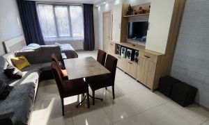 ქირავდება 4 ოთახიანი სახლი - ბორჯომის რაიონი