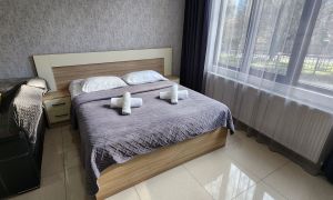 ქირავდება 4 ოთახიანი სახლი - ბორჯომის რაიონი