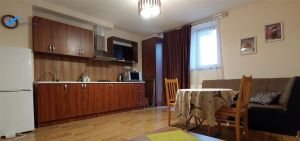 ქირავდება 2 ოთახიანი ბინა - ბორჯომის რაიონი