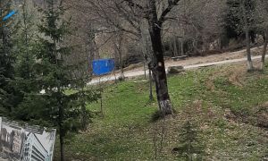 ქირავდება 2 ოთახიანი ბინა - ბორჯომის რაიონი