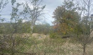 იყიდება 2114 კვმ მიწა - მცხეთის რაიონი