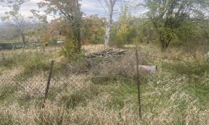 იყიდება 2114 კვმ მიწა - მცხეთის რაიონი