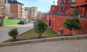 ქირავდება 2 ოთახიანი ბინა - თბილისი