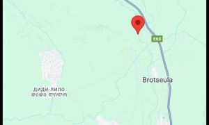 იყიდება 10000 კვმ მიწა - თელავის რაიონი