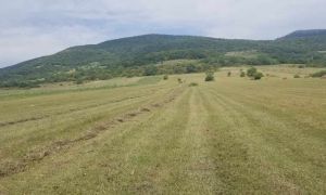 იყიდება 7822 კვმ მიწა - თიანეთის რაიონი