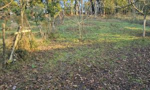 იყიდება 1400 კვმ მიწა - ბათუმი