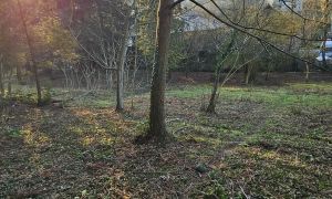 იყიდება 1400 კვმ მიწა - ბათუმი