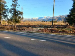 იყიდება 2000 კვმ მიწა - ოზურგეთის რაიონი