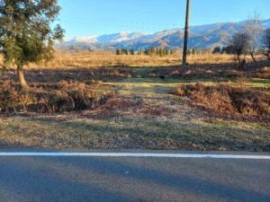 იყიდება 2000 კვმ მიწა - ოზურგეთის რაიონი