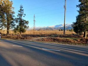 იყიდება 2000 კვმ მიწა - ოზურგეთის რაიონი