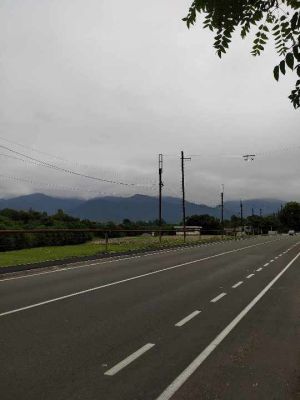 იყიდება 1606 კვმ მიწა - ოზურგეთის რაიონი