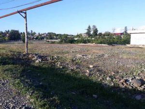 იყიდება 1606 კვმ მიწა - ოზურგეთის რაიონი