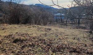 იყიდება 2000 კვმ მიწა - თიანეთის რაიონი