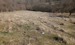 იყიდება 2000 კვმ მიწა - თიანეთის რაიონი