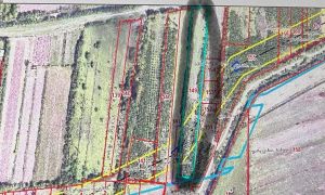 იყიდება 7900 კვმ მიწა - ზუგდიდის რაიონი