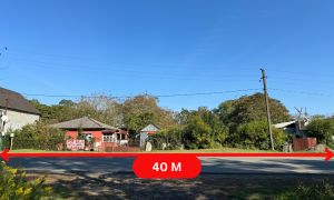 იყიდება 4000 კვმ მიწა - ლანჩხუთის რაიონი