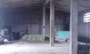 იყიდება 60000 კვმ მიწა - ქარელის რაიონი