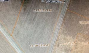 იყიდება 2000 კვმ მიწა - თიანეთის რაიონი