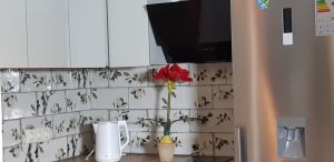 ქირავდება დღიურად 2 ოთახიანი ბინა - ბორჯომის რაიონი