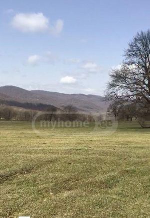 იყიდება 50000 კვმ მიწა - თბილისი