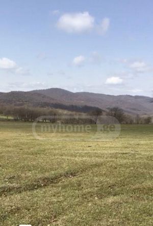 იყიდება 50000 კვმ მიწა - თბილისი