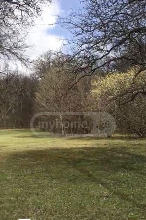 იყიდება 50000 კვმ მიწა - თბილისი