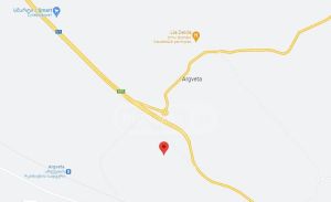 იყიდება 50000 კვმ მიწა - თბილისი