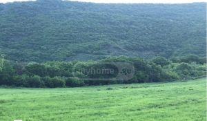 იყიდება 130000 კვმ მიწა - თბილისი