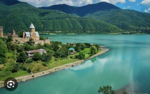 იყიდება 700 კვმ მიწა - დუშეთის რაიონი