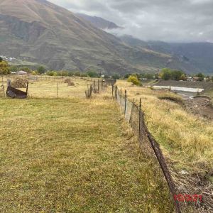 იყიდება 1026 კვმ მიწა - დუშეთის რაიონი