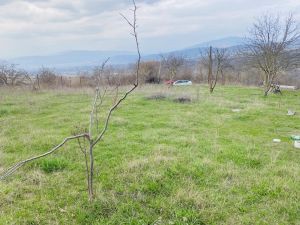 იყიდება 1895 კვმ მიწა - მცხეთის რაიონი