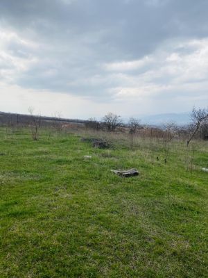 იყიდება 1895 კვმ მიწა - მცხეთის რაიონი