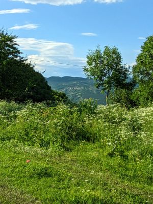 იყიდება 1100 კვმ მიწა - თბილისი
