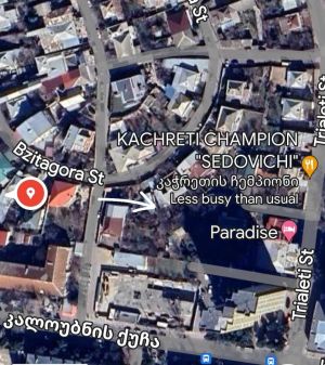 იყიდება 1225 კვმ მიწა - თბილისი