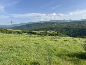 იყიდება 711 კვმ მიწა - თეთრიწყაროს რაიონი