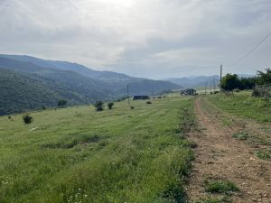 იყიდება 711 კვმ მიწა - თეთრიწყაროს რაიონი