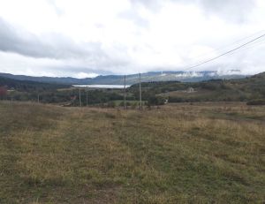 იყიდება 750 კვმ მიწა - ამბროლაურის რაიონი