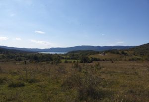 იყიდება 750 კვმ მიწა - ამბროლაურის რაიონი