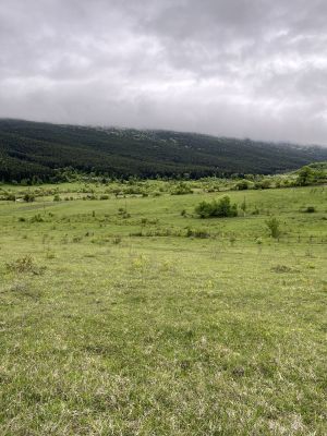 იყიდება 750 კვმ მიწა - ამბროლაურის რაიონი