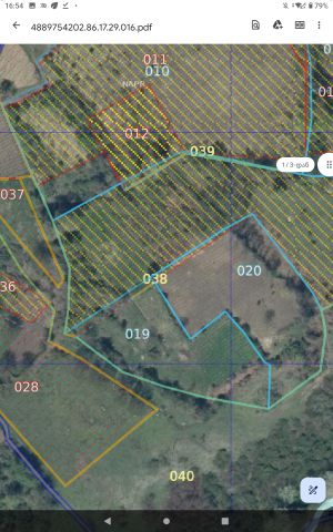 იყიდება 2300 კვმ მიწა - ამბროლაურის რაიონი