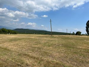 იყიდება 4000 კვმ მიწა - მცხეთის რაიონი