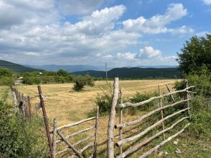 იყიდება 4000 კვმ მიწა - მცხეთის რაიონი