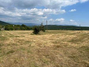 იყიდება 4000 კვმ მიწა - მცხეთის რაიონი