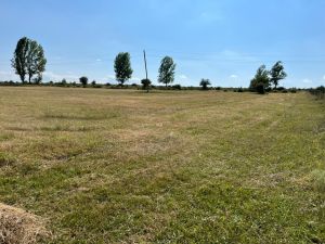 იყიდება 4000 კვმ მიწა - მცხეთის რაიონი