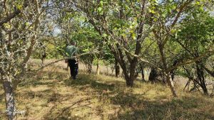 იყიდება 2813 კვმ მიწა - დუშეთის რაიონი