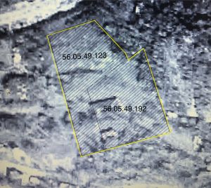 იყიდება 5800 კვმ მიწა - სიღნაღის რაიონი