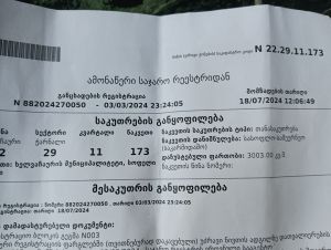 იყიდება 3003 კვმ მიწა - ბათუმი