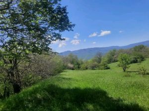 იყიდება 2680 კვმ მიწა - თეთრიწყაროს რაიონი