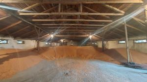 იყიდება 7147 კვმ მიწა - საგარეჯოს რაიონი